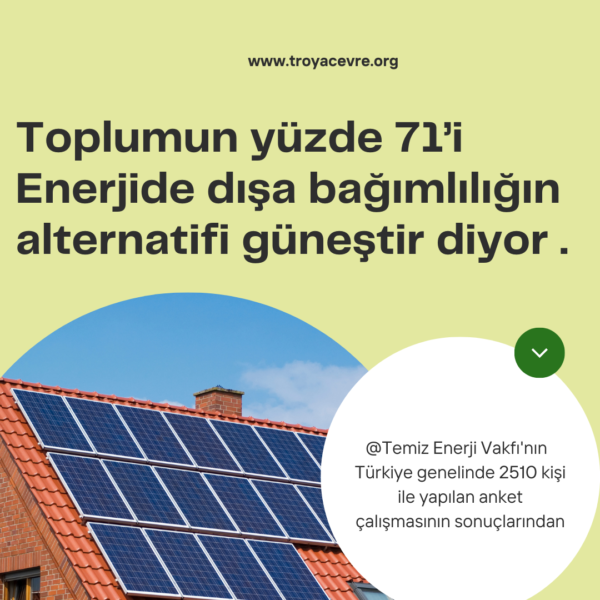Türkiye'de Enerji Tüketimi ve Ekonomi Araştırması