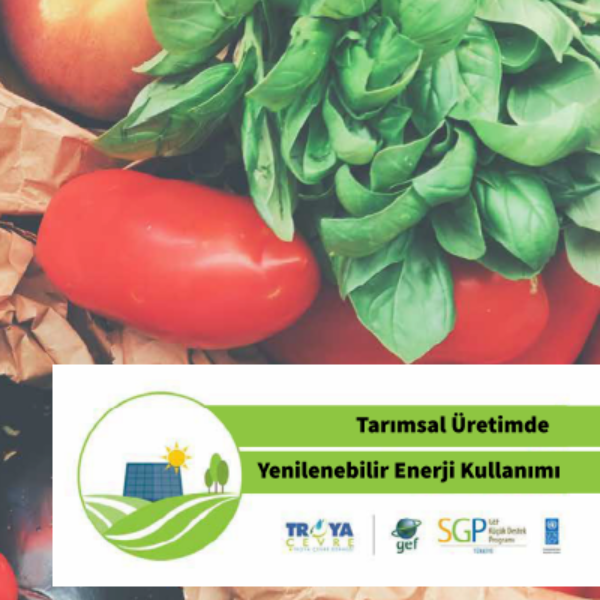 Tarımsal Üretimde Yenilenebilir Enerjinin Kullanımı